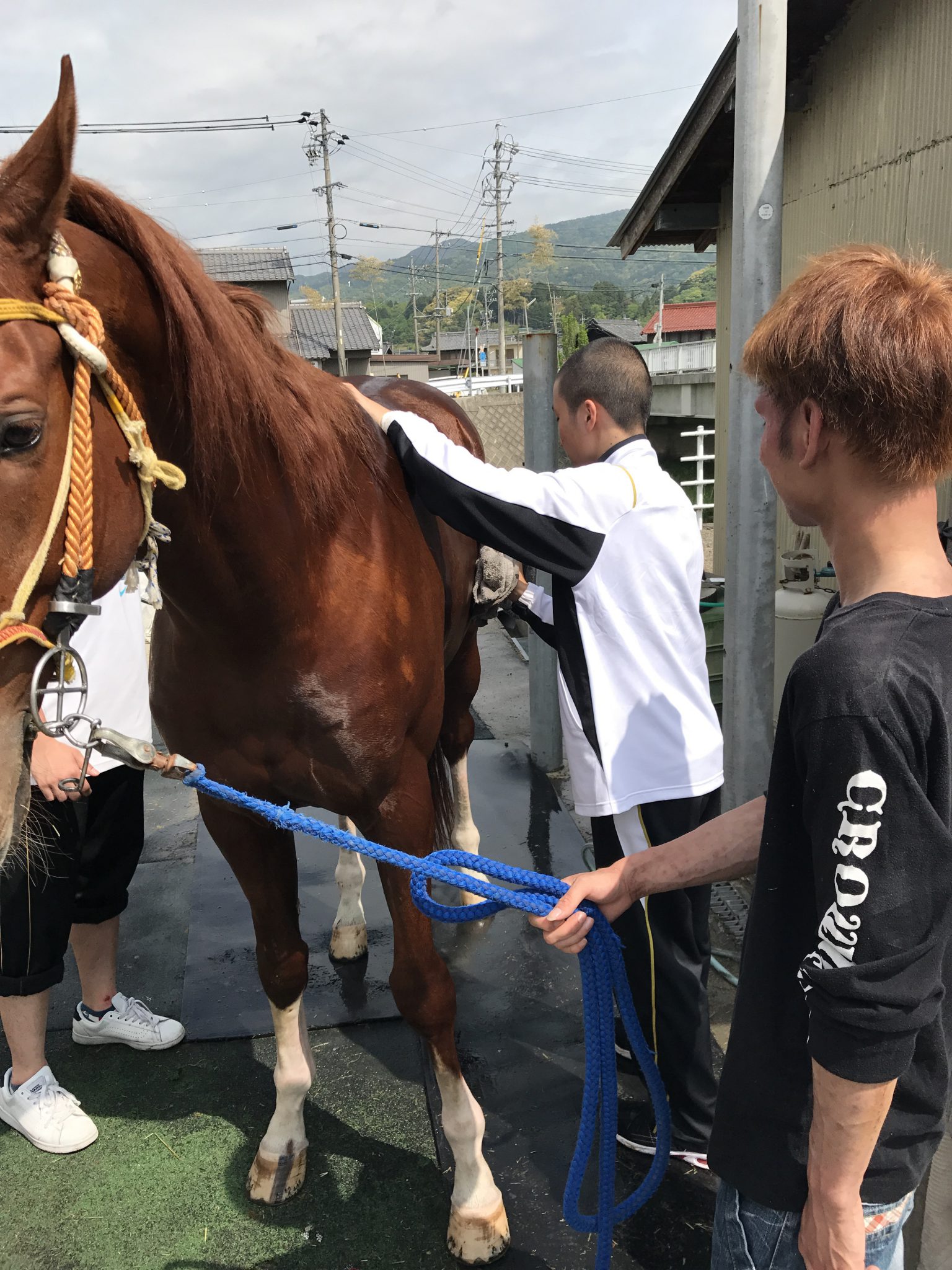 多度大社御例祭 上げ馬神事 公式ブログ ページ 11 伝統の継承と 人馬一体の感動を共に